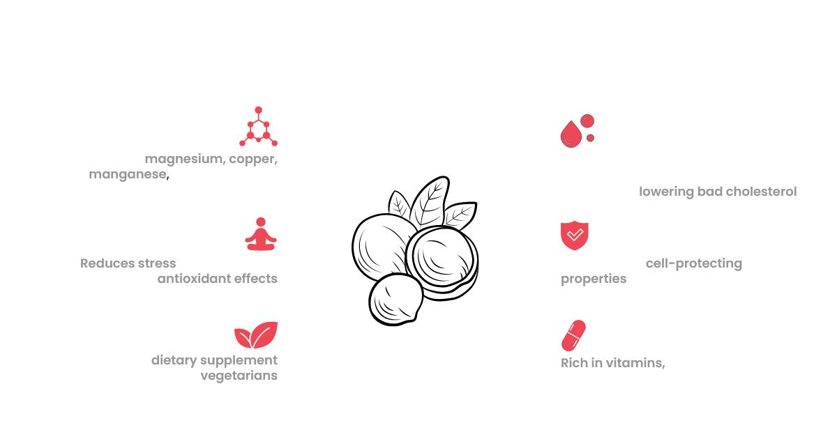 properties of macadamia nuts