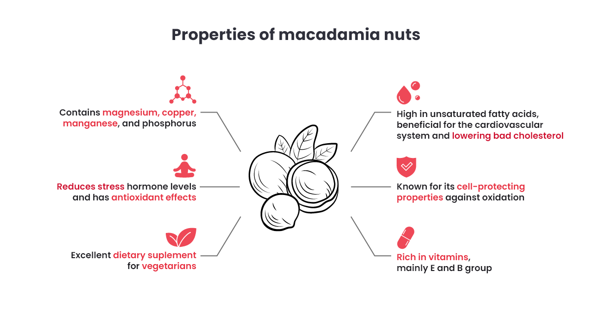 properties of macadamia nuts