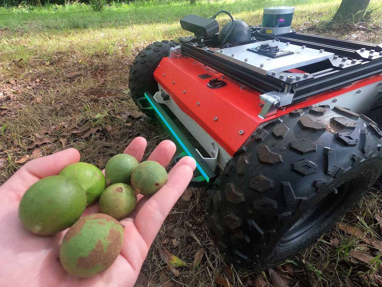 Royal Melbourne Institute of Technology uses Panther for Macadamia Nut Harvesting