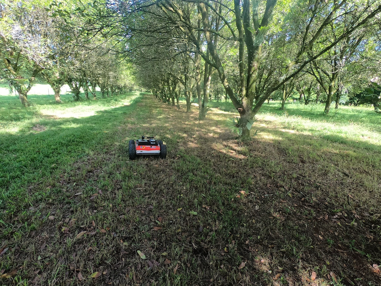 Royal Melbourne Institute of Technology uses Panther for Macadamia Nut Harvesting