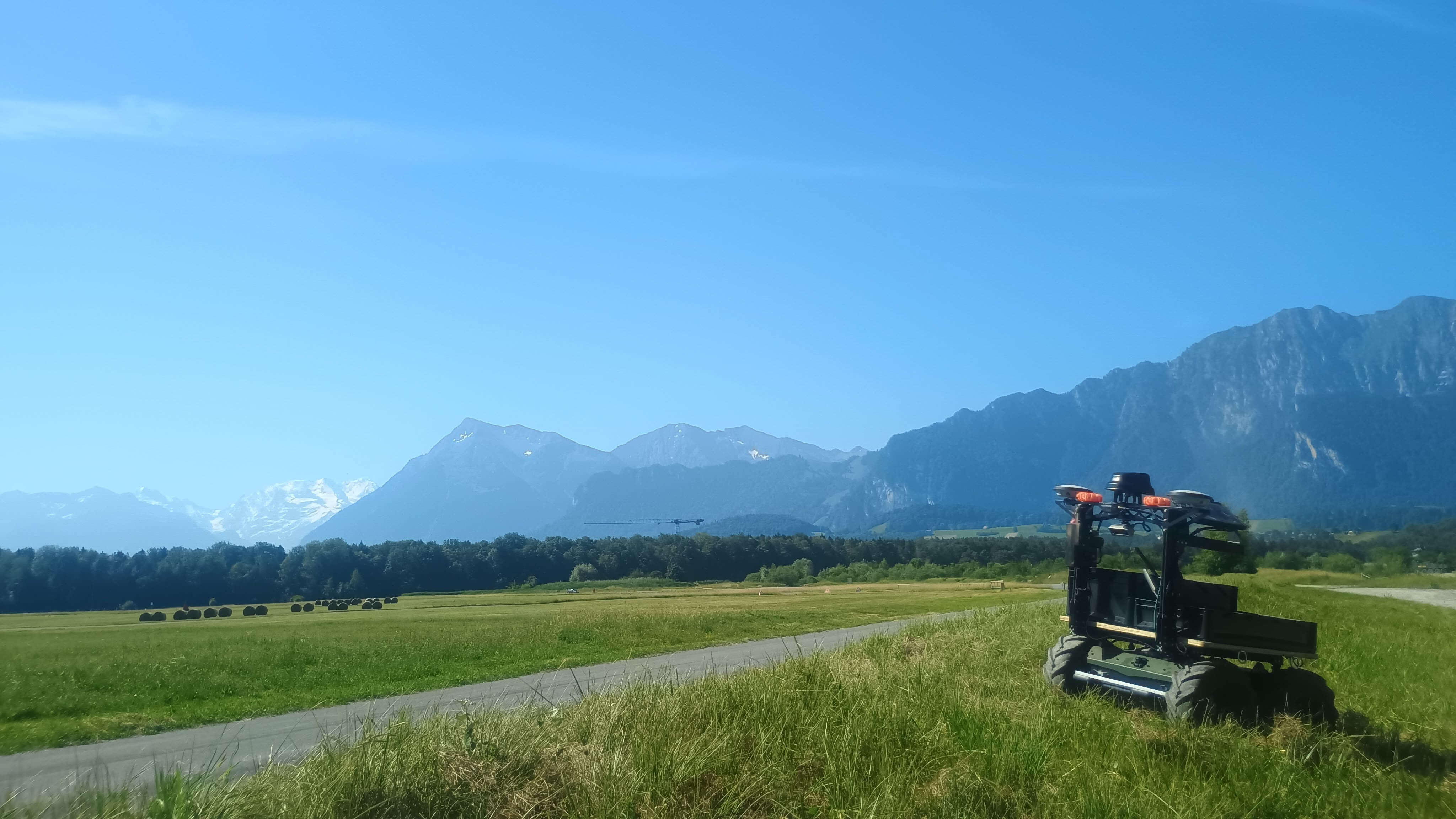 Panther in Switzerland