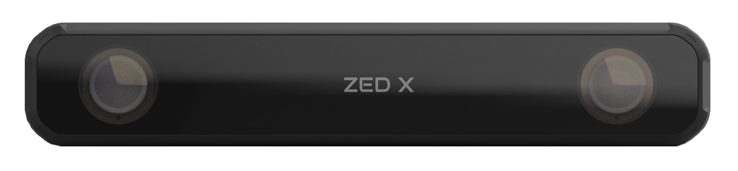 zed
